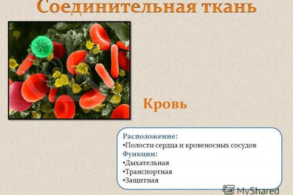 Ссылка на кракен krakens13 at